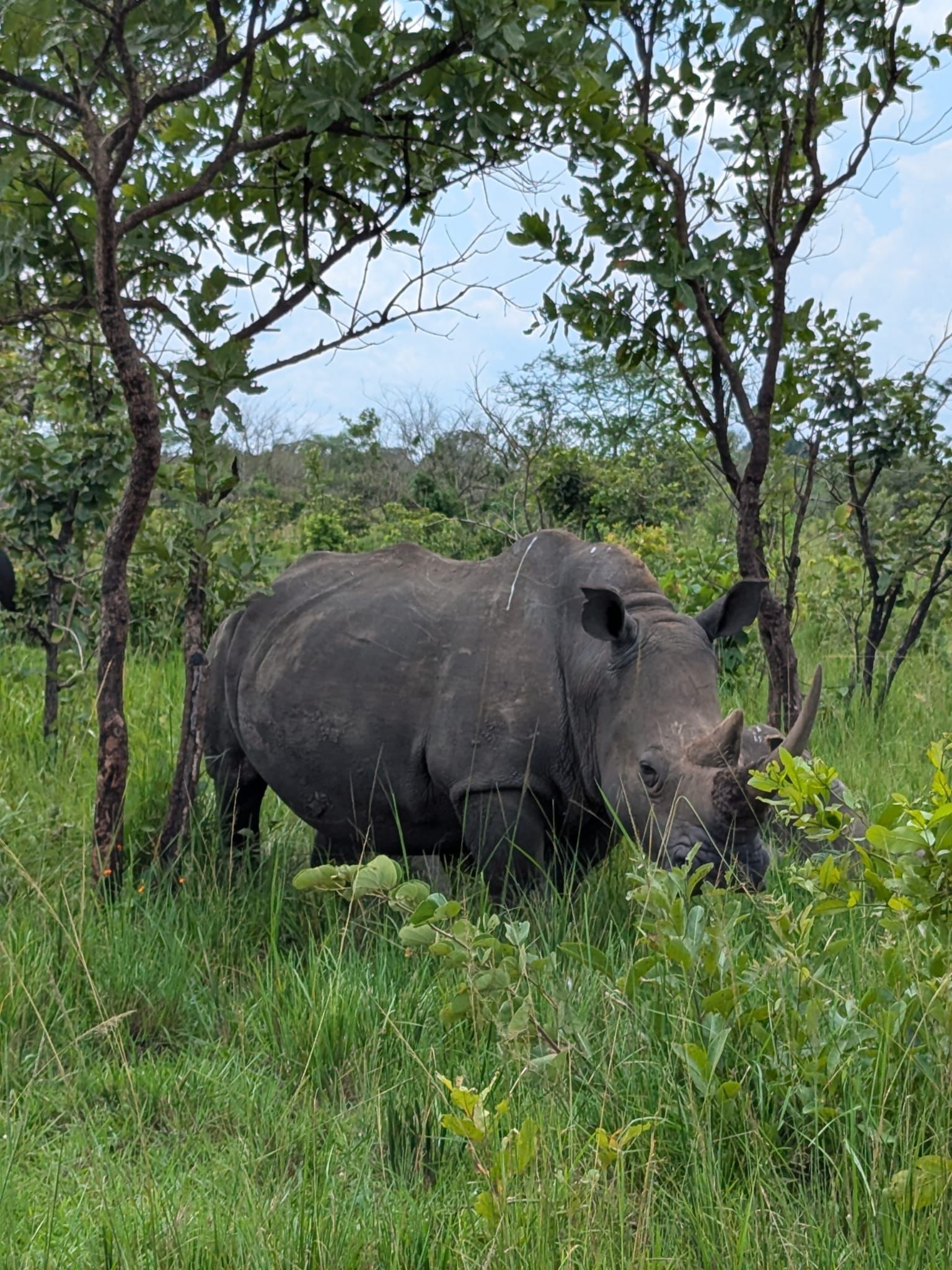 Uganda safari – Missk Africa Safaris