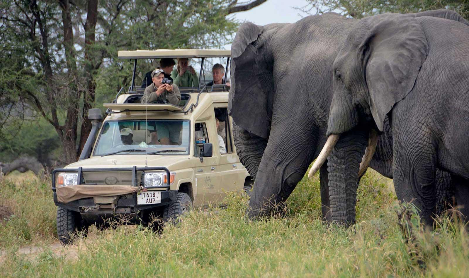 Private Prestige Safaris
